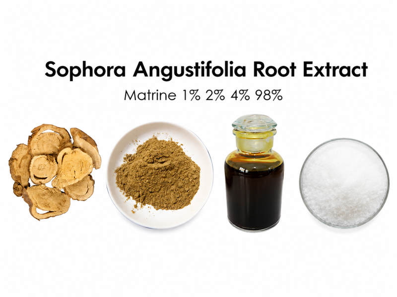 sophora angustifulia root ext